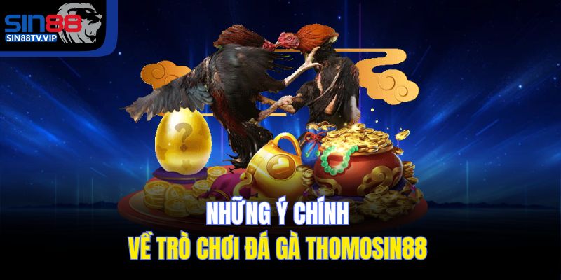 Những ý chính về trò chơi đá gà Thomo